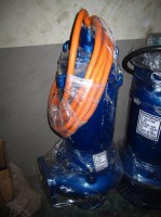 /album/fotogaleria-servicios/bomba-sumergible-de-limpieza-de-cisternas-jpg/